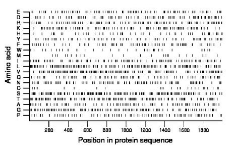 amino acid map