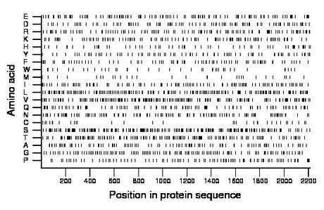 amino acid map