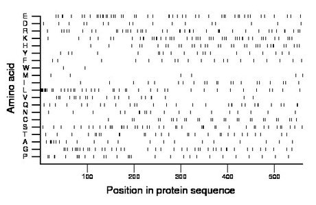 amino acid map