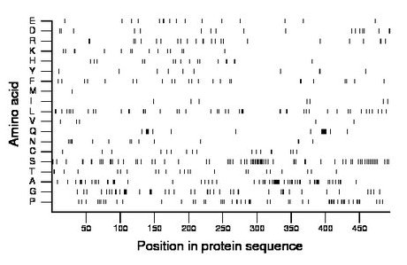 amino acid map