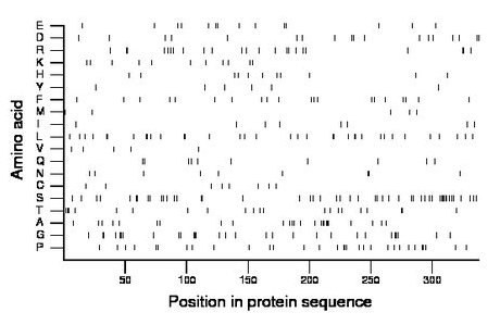 amino acid map