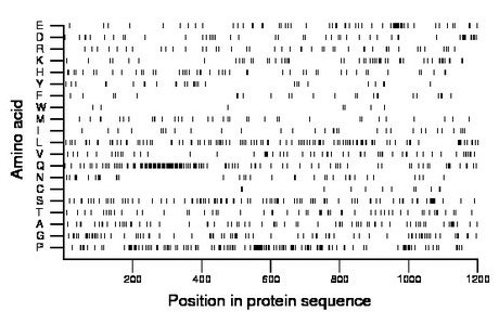 amino acid map