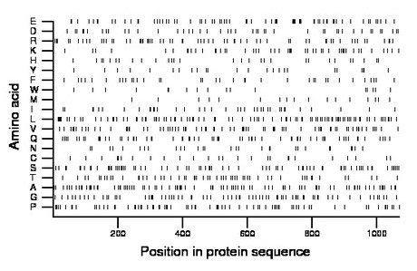 amino acid map