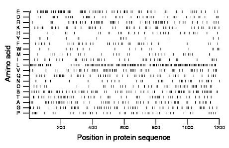 amino acid map