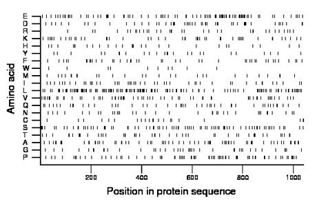 amino acid map