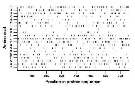 amino acid map