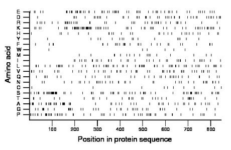 amino acid map