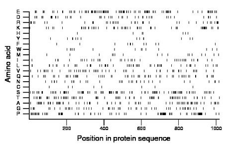 amino acid map