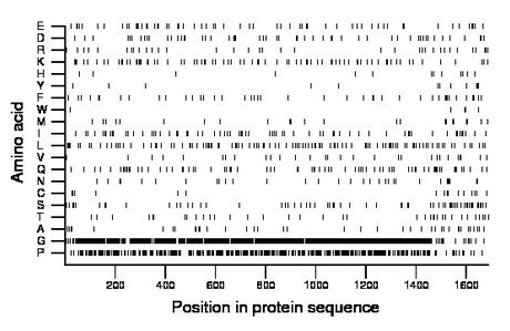 amino acid map