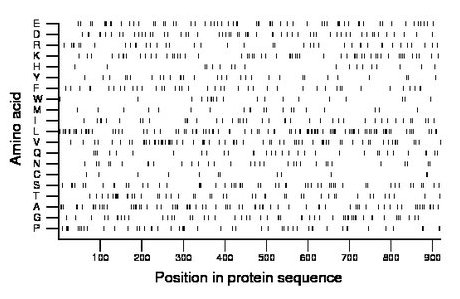 amino acid map