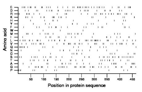 amino acid map