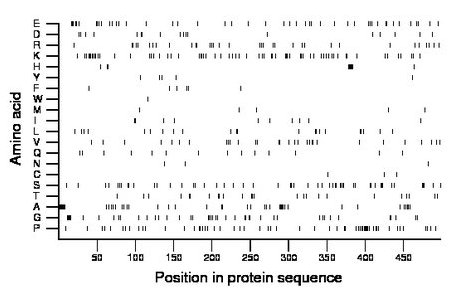 amino acid map