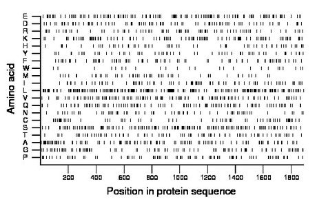 amino acid map