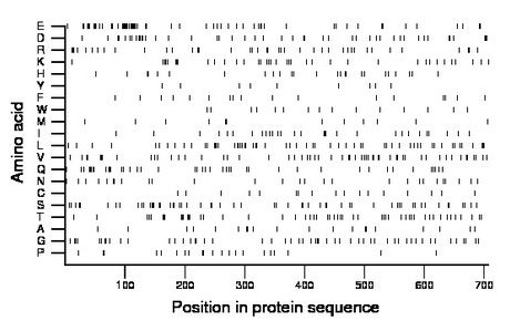 amino acid map