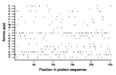 amino acid map