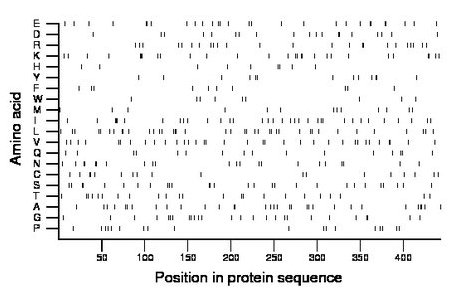 amino acid map