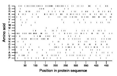 amino acid map