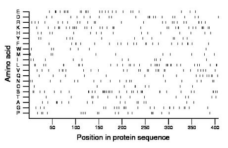 amino acid map