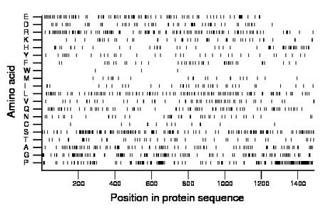 amino acid map