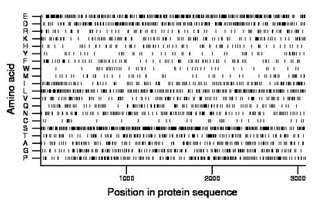 amino acid map