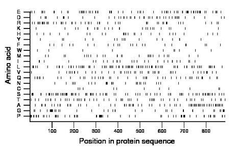 amino acid map