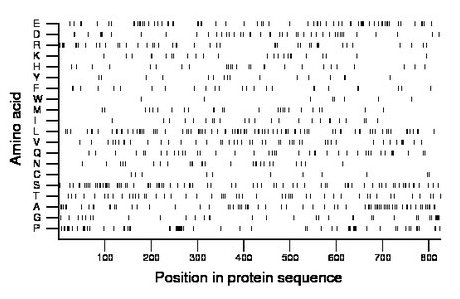 amino acid map