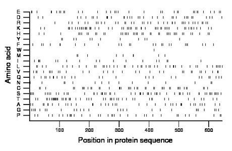 amino acid map