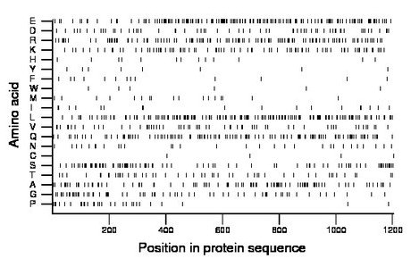 amino acid map