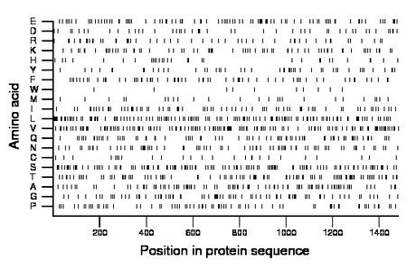 amino acid map