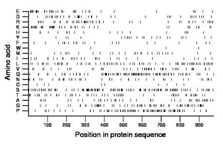 amino acid map