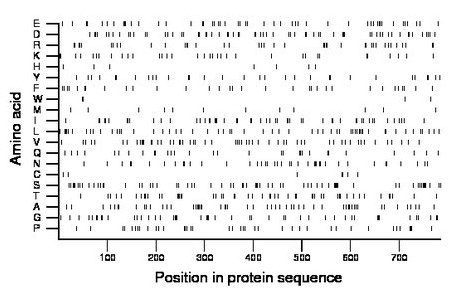 amino acid map