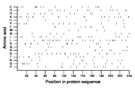 amino acid map