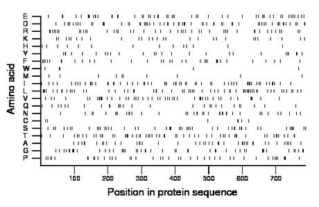 amino acid map