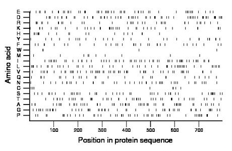 amino acid map