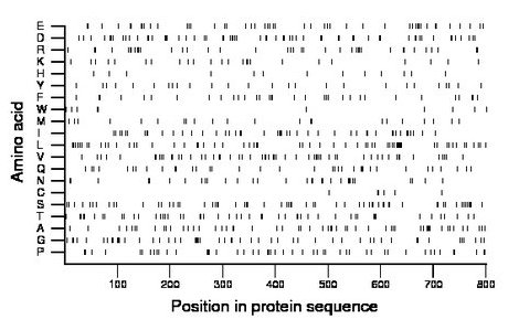 amino acid map