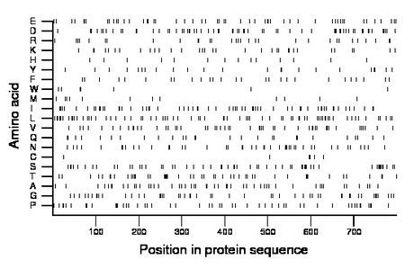 amino acid map