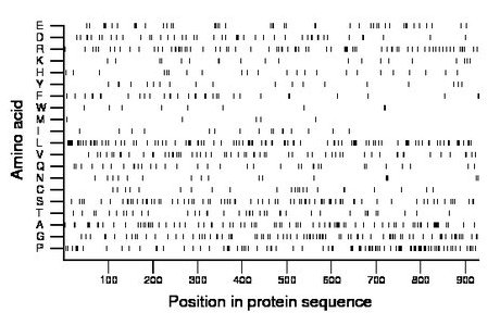 amino acid map