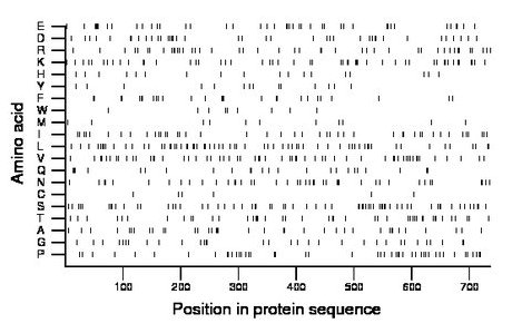 amino acid map