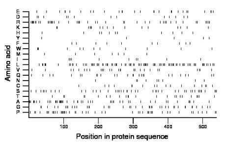 amino acid map