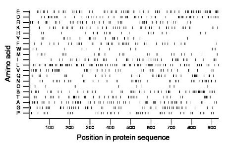 amino acid map