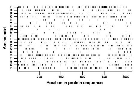 amino acid map