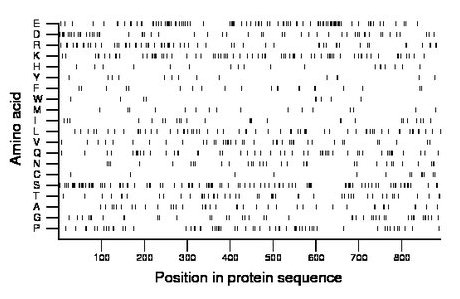 amino acid map