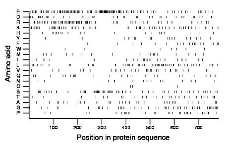 amino acid map