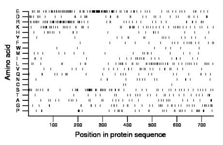 amino acid map