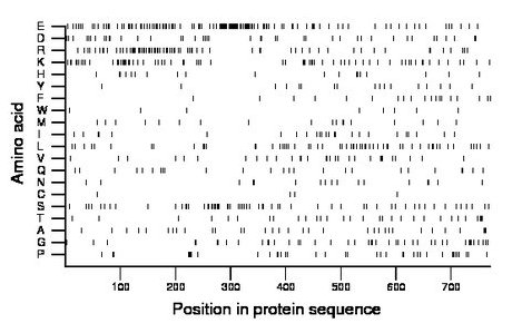 amino acid map