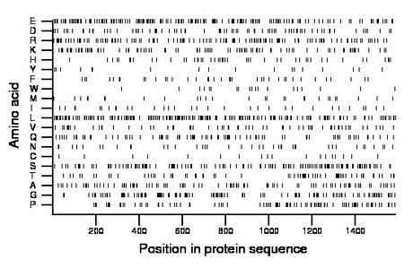 amino acid map