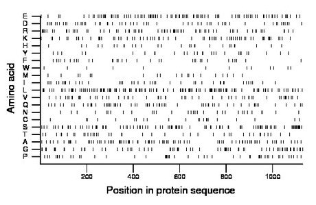 amino acid map