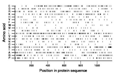 amino acid map