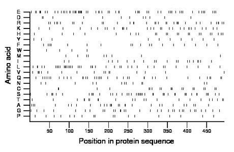 amino acid map