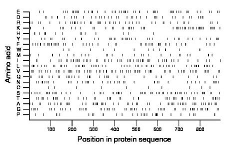 amino acid map